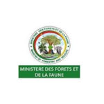 Mini des forêts et de la faunestere